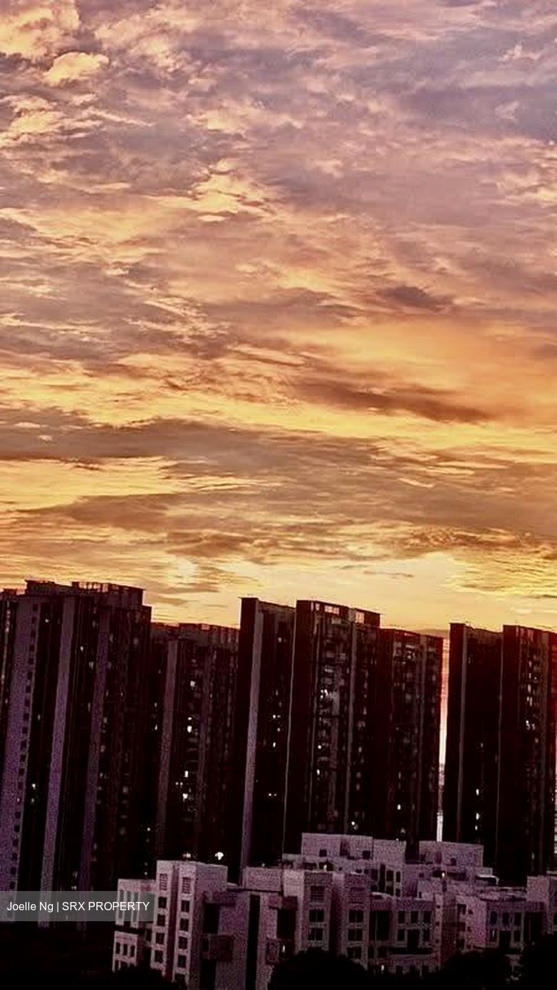 Blk 311A Trivelis (Clementi), HDB 4 Rooms #634255481